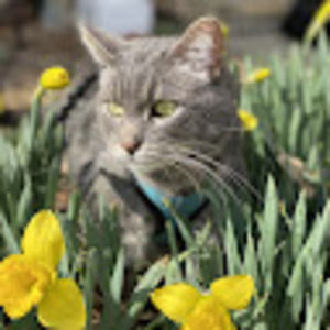 Meet your Posher, Bella